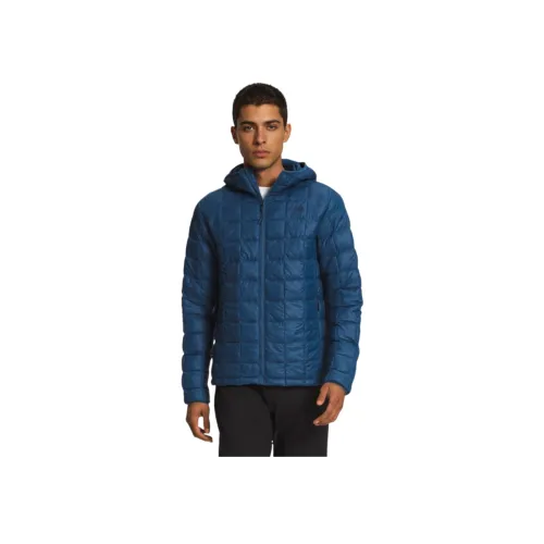 THE NORTH FACE Куртки и Пальто Мужской Синий