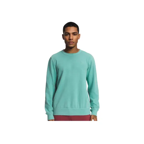The North Face Одежда Dye CREW SWEATSHIRT Мужской Горчичный