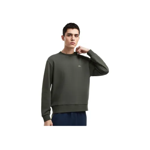 Толстовка LACOSTE Collaboration Мужская Коричнево-Зеленая