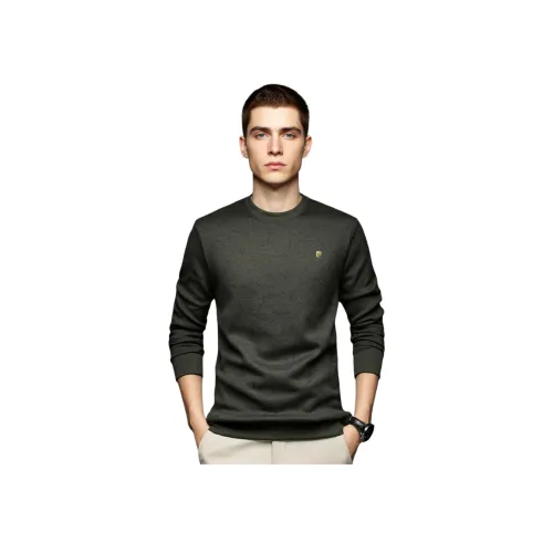 PIERRE CARDIN Мужской Трикотаж