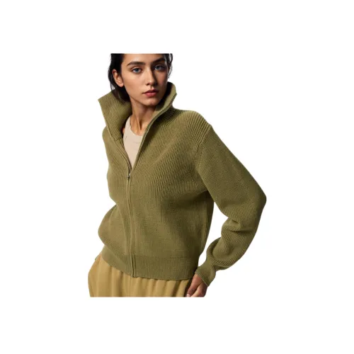 UNIQLO Оливковый Женский Трикотаж