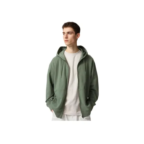 UNIQLO Зеленый Унисекс Свитшоты