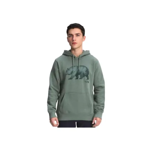 THE NORTH FACE Зеленый Мужской Свитшот