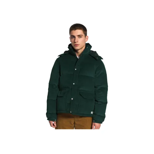 THE NORTH FACE Sierra Down Jacket Men's Jasper