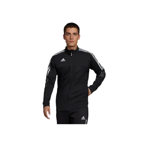 Adidas Мужская спортивная одежда черного цвета