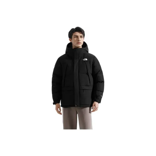 THE NORTH FACE С наполнителем пуховик мужской