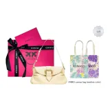 Сумка + Пылезащитный мешок + Коробка + Подарочный набор