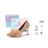 Абрикос [Цветные облака Коробка] + Подарок