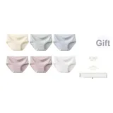 6F Custard+Серый Зеленый+Пыльный Синий Серый+Белый