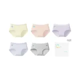 [5 пачек] Морская пена зеленый + жемчужный розовый + виноградный фиолетовый + туманный синий + фотиния серый