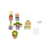 Целая коробка (включает одну большую сумку Itas)