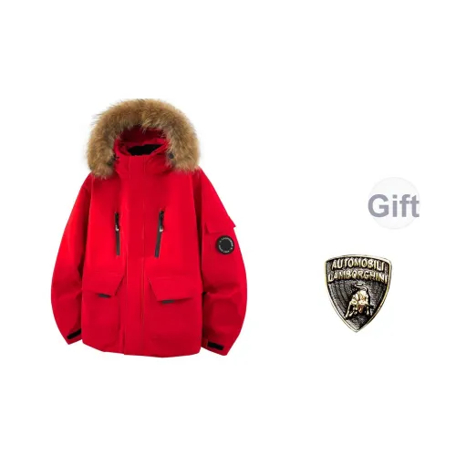 AUTOMOBILI LAMBORGHINI Пуховик Унисекс