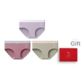 Таро Фиолетовый-Темно-Розовый-Изумрудно-Зеленый