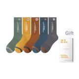 Мятно-зеленый, Имбирно-желтый, Коричневый, Средне-серый, Темно-синий [5 пар]