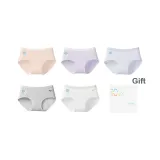 [5 пачек] Pearl Розовый + Grape Фиолетовый + Mist Синий + Photinia Серый + White