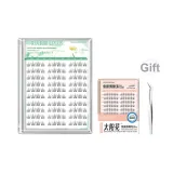 Клей-Бесплатно 2 Коробки [Повседневный Светлый Макияж] Маленький Солнечный свет + Натуральный Подсолнух