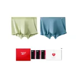 Emerald Green + Gray Green (Коробка 2 пачки)