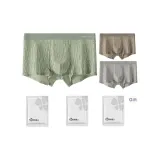 Группа B: Умбра + Серый + Зеленый + Светло-коричневый