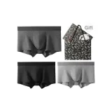 Однотонный 3-Пачка Коробка Включено (Темный Фотиния Серый + Черный Меланжевый Серый + Средний Фотиния Серый)