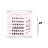 [Нет Клей] Ранний Восемь ABA Модель + Улучшенный Золотой Перо Клипсы