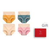 Имбирь Желтый-Серый Зеленый-Кожа Светло-Розовый