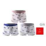 [Карьера и Прогресс в Изучении Постепенно Направлено + Ведущий Путь] Камео Коричневый С принтом - Ледяной Синий С принтом - Светло-Серый С принтом