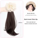 Улучшенная заколка-коготь, стиль позиционирования [темно-коричневый]