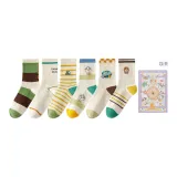 Коробка 6 пар (Комбо 10)