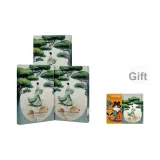 Белый гриб 3 коробки + Белый гриб 1 шт + Спящий красота 1 шт