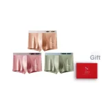 Абрикосовый желтый - Кирпично-красный - Фруктовый зеленый