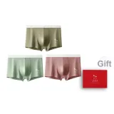 Горчичный желтый - Фруктовый зеленый - Камея коричневая