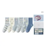 Коробка 6 пар (Комбо 1)