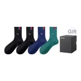 2 Черный + Темно-синий + Сосновый зеленый