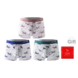 [Карьера и Прогресс в Изучении Постепенно Направлено + Ведущий Путь] Камео Коричневый С принтом - Ледяной Синий С принтом - Зеленый С принтом