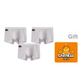 3-Пачка (Ледниковый серый)