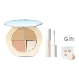 #01 Goose Down Pad + Concealer