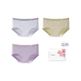 Светло-синий + Матча зеленый + Розово-фиолетовый