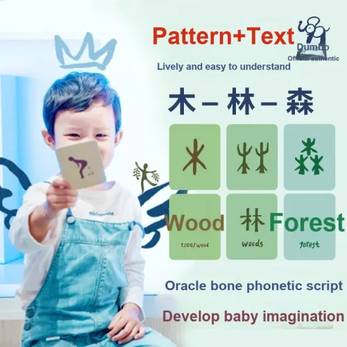 XIAOXIANGHANZI Карточки для раннего развития