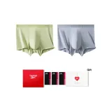 Emerald Green + Mist Rain Gray (Коробка 2 пачки)