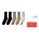 Чёрный, Кофейный, Белый, Буква 2