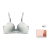 Зеленый цвет кардамона