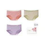 Розовый Оранжевый + Матча Зеленый + Розовый Фиолетовый