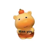 Капибара-Miss You-C