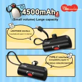 Пингвин Капсула Пава Банк