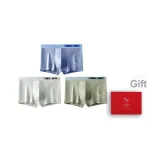 Ледяной синий - Светло-гороховый зеленый - Фруктовый зеленый