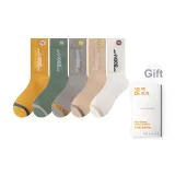 Имбирь Желтый, Мятный Зеленый, Светлый Серый, Хаки, Белый [5 Упаковок]