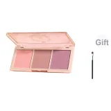 [Бесплатно Кисти]02 Фрукты Чай Румяна Палетка