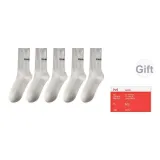 Лунно-белый, Письмо 5