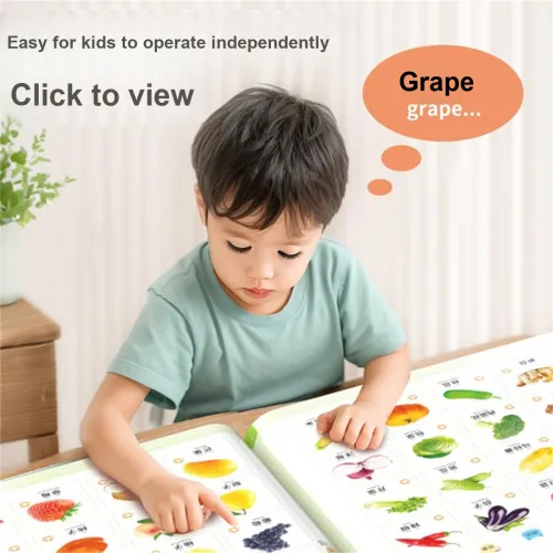 BIG TAYLOR Мова Аудиокниги Обучающая Машина Палец POINT и Читает Книги С Динамиком Развивающие Игрушки