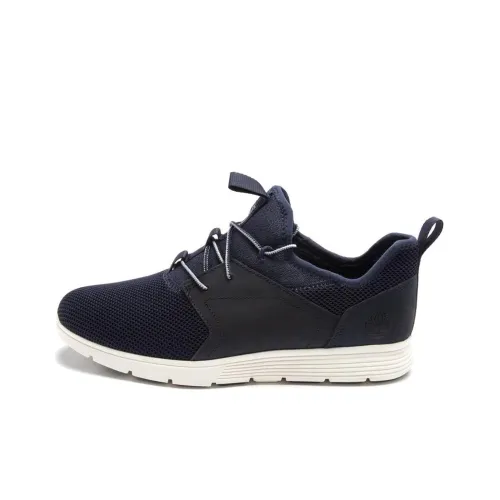 Timberland Killington Беговые кроссовки Низкий Топ Мужской